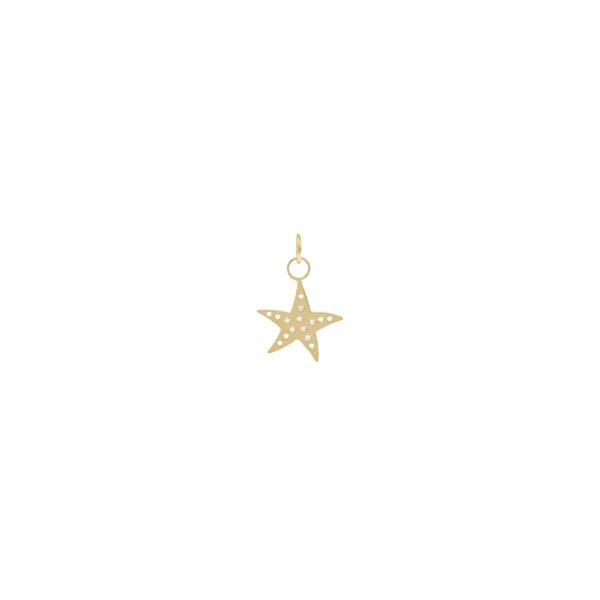 Pingente Estrela D'Água Diamantes