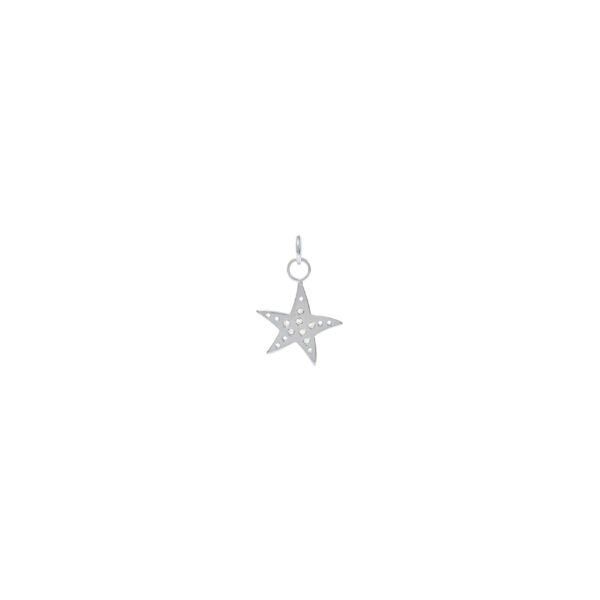Pingente Estrela D'Água Diamantes